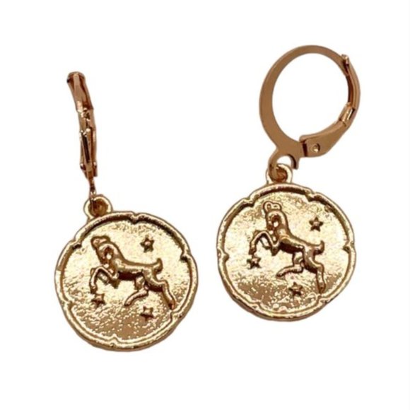 ⭐️❤️ FREE Horoscope Sign Boho Print Peasant Zodiac Modern Minimal Hoop Earrings - Picture 13 of 13